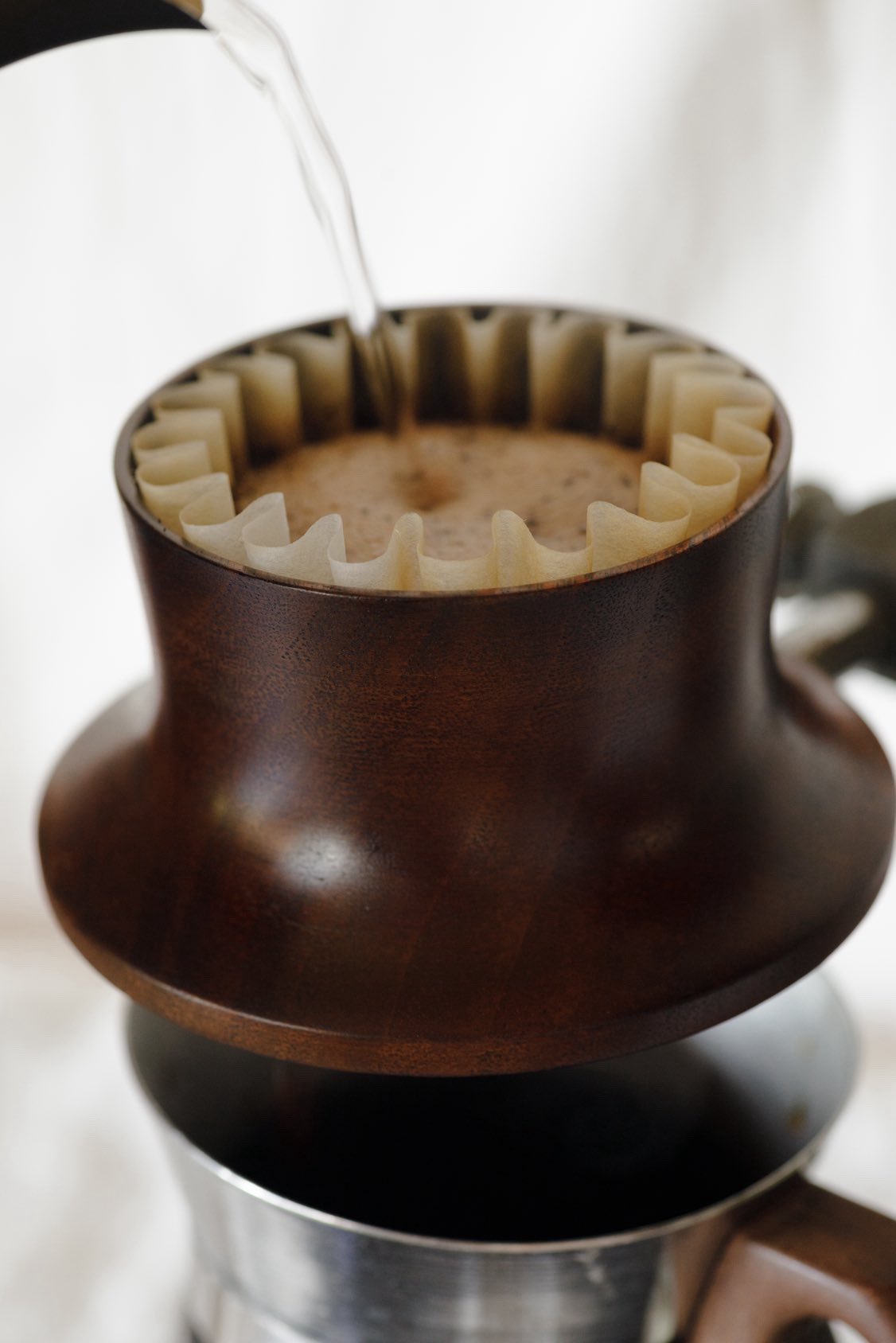 565312896 25241127448815747 4833436691520452546 n