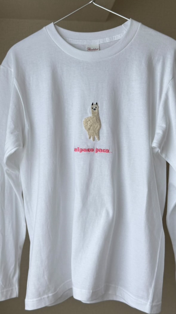 566140317 1484646779418711 6376422535888282963 n