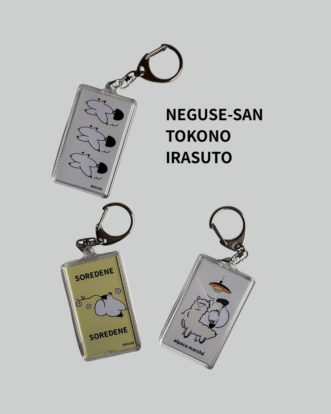 660447640 1680287360001796 1805280884614202470 n